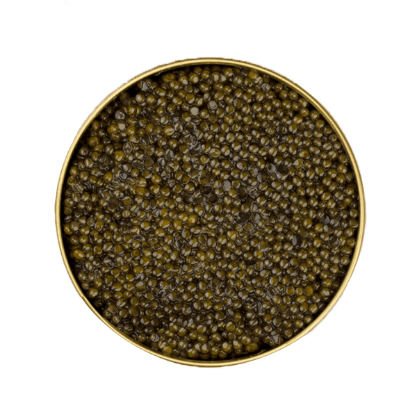 Ossetra Royal