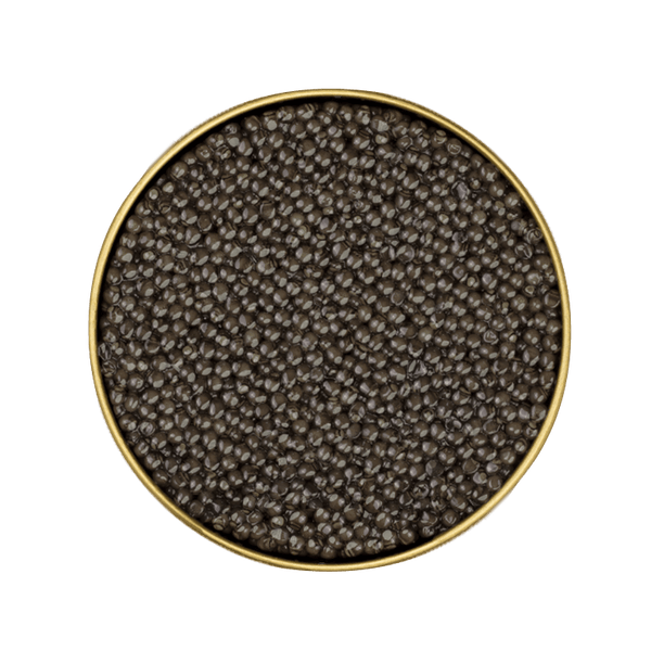 Béluga Royal