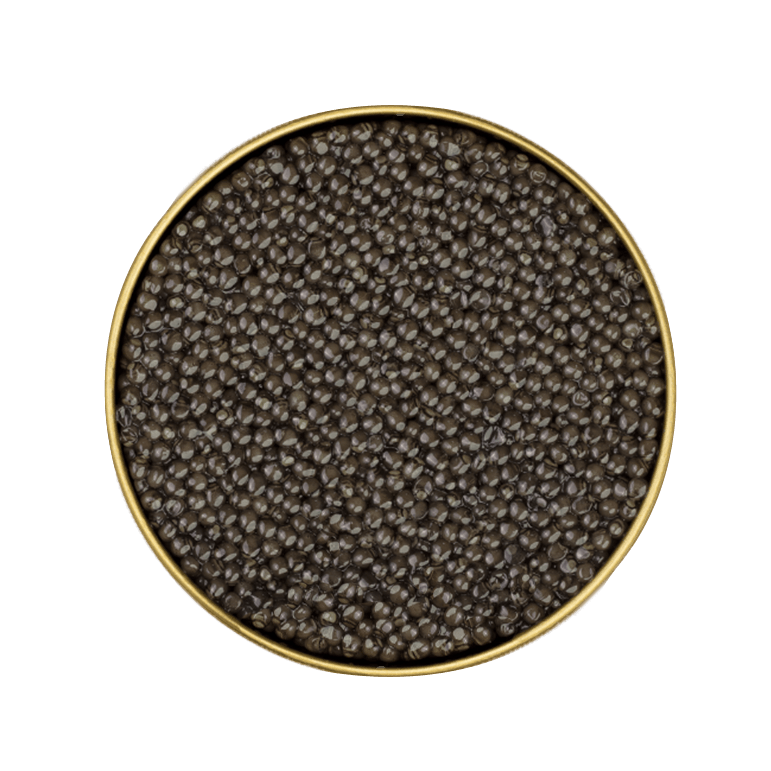 Béluga Royal